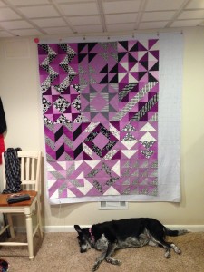 The twelve blocks made to date.  And a sleeping dog.  She is very helpful.  