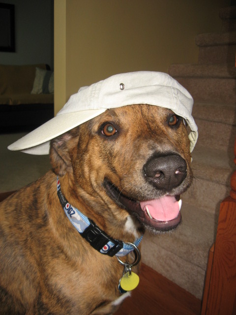 Trying New Blog Layouts